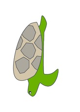 Schildkröte.pdf